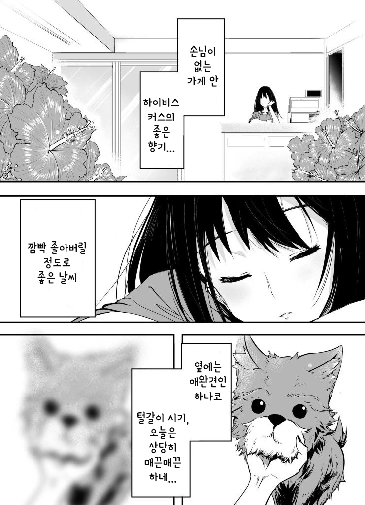 [@] 하나코 꿈을 꾸는 시부린