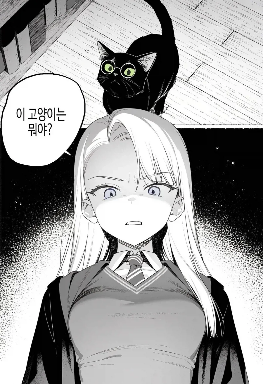 TS말포이) 츤데레 말포이 만화 - 이미지 13