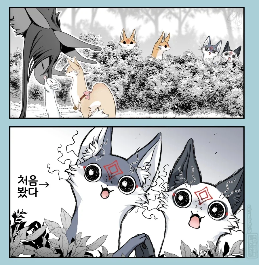 번역)늘어나는 대롱여우, 행복한 재앙신.manhwa - 이미지 2