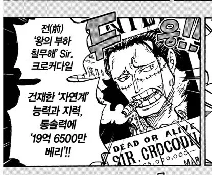 원피스 악어 현상금 관련 다시 보면 재밌는거 - 이미지 8