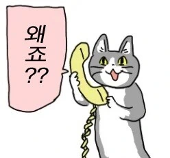 수술전 공개고백은 ㅁㅊㄴ 아이가..