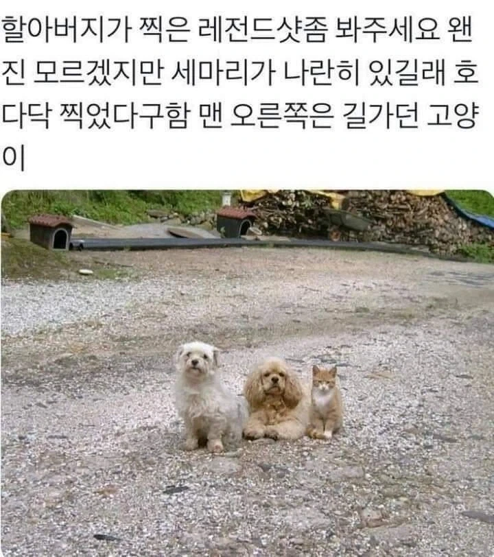 레전드 사진. jpg