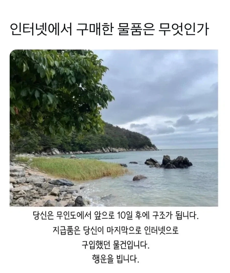 당신은 지금부터 10일 후 무인도에서 구조됩니다.