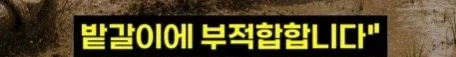 헬조선의 노동강도에 못 버틴 외노자 - 이미지 10