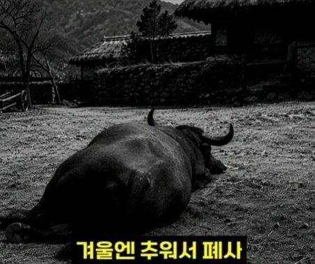 헬조선의 노동강도에 못 버틴 외노자 - 이미지 12