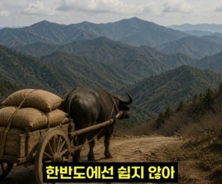 헬조선의 노동강도에 못 버틴 외노자 - 이미지 15