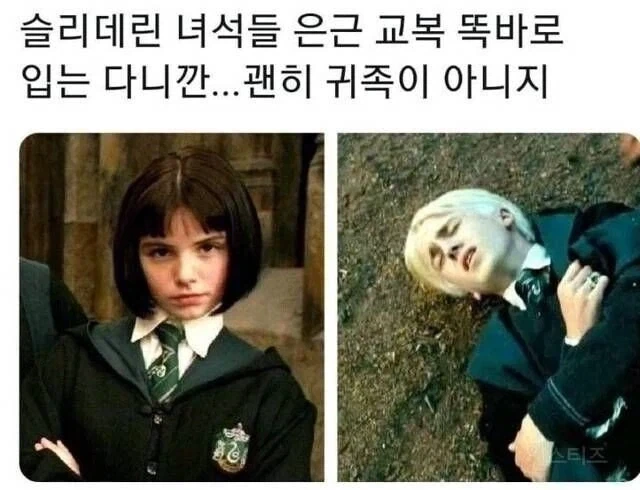 해리포터)용기있는 애들이 가는 기숙사