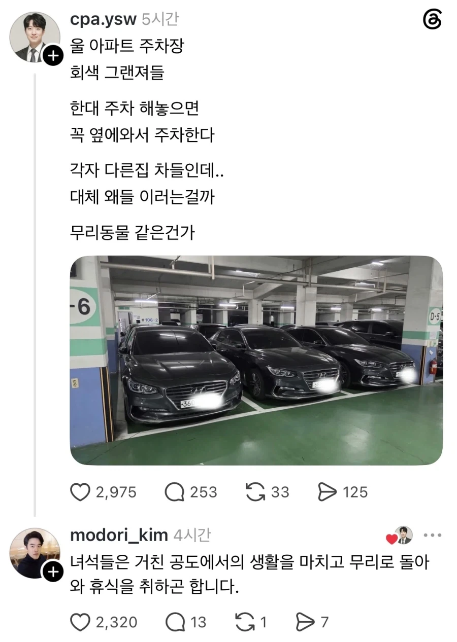 주차장에서 볼 수 있는 무리의식.jpg