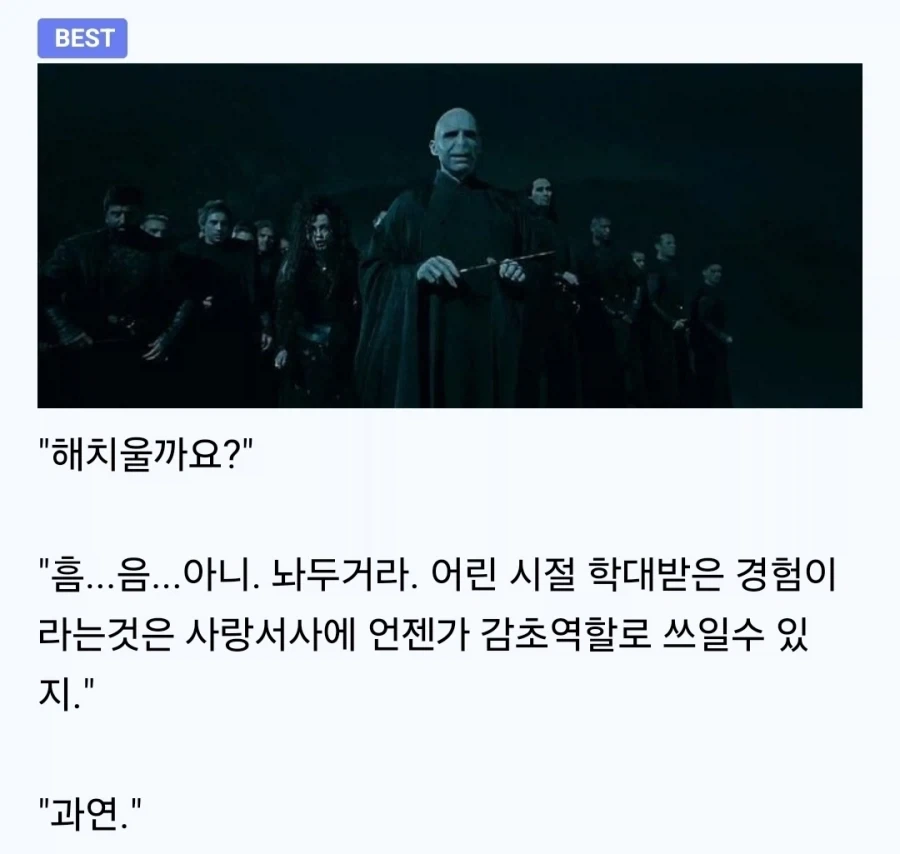 해리포터) 과거의 자신과 만나면 안되는 이유