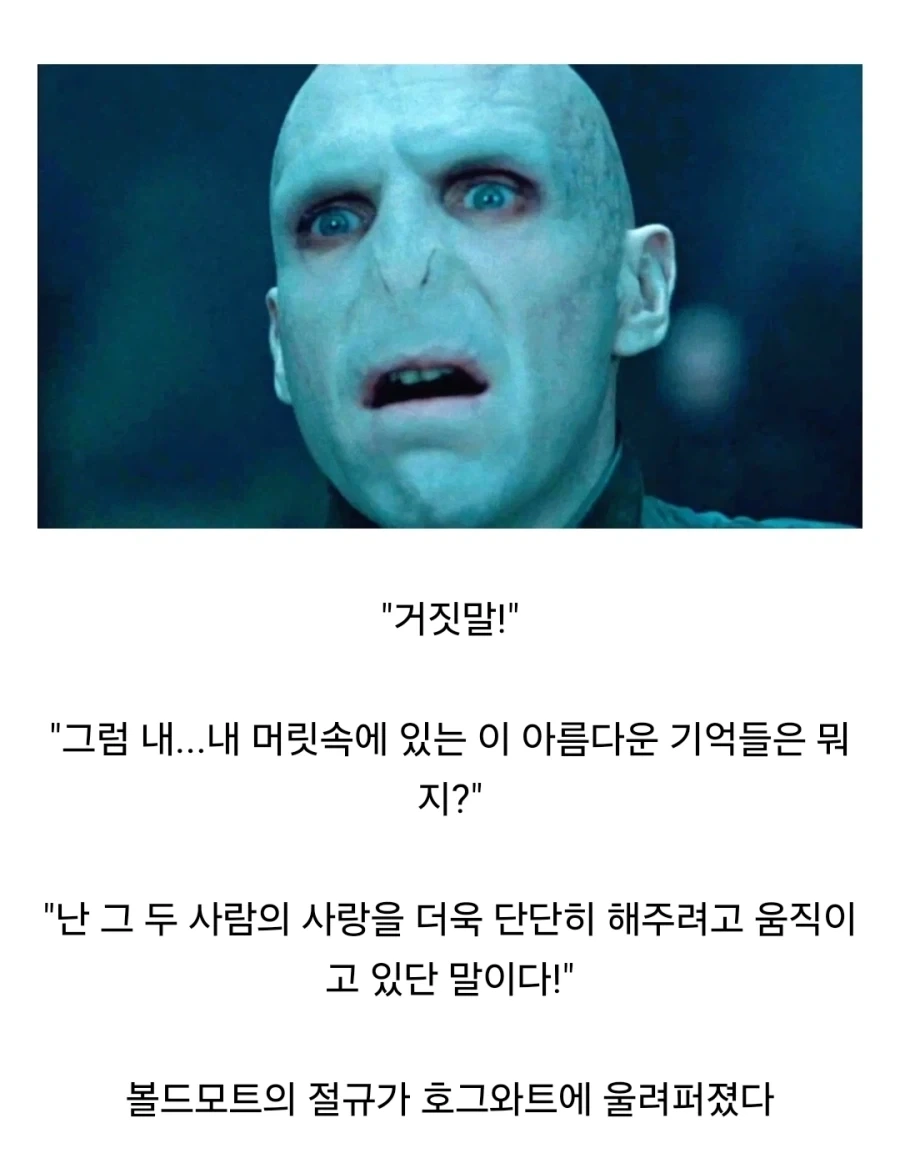 해리포터) 과거의 자신과 만나면 안되는 이유 - 이미지 2