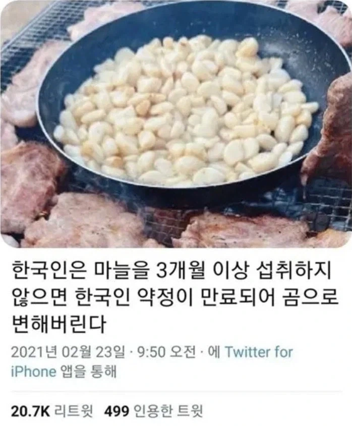 한국인이 마늘을 계속 섭취해야 되는 이유