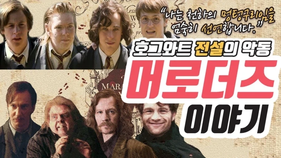 해리포터) 머로우더즈 요약