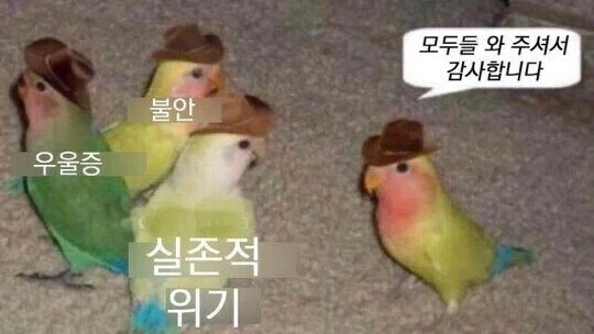 잠들기 전에 머릿속에서 일어나는 일
