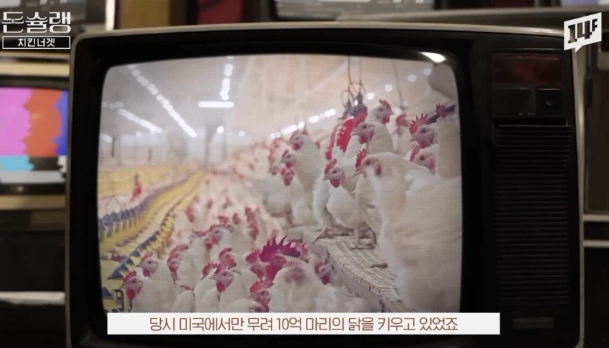 실험실에서 탄생시킨 모두의 치킨 레시피