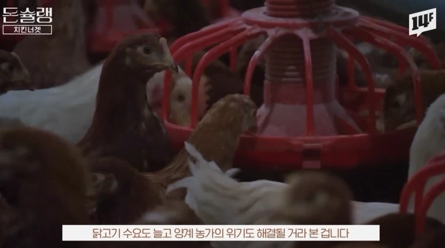 실험실에서 탄생시킨 모두의 치킨 레시피 - 이미지 8