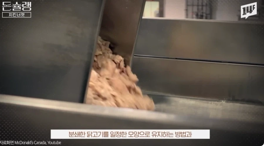 실험실에서 탄생시킨 모두의 치킨 레시피 - 이미지 13