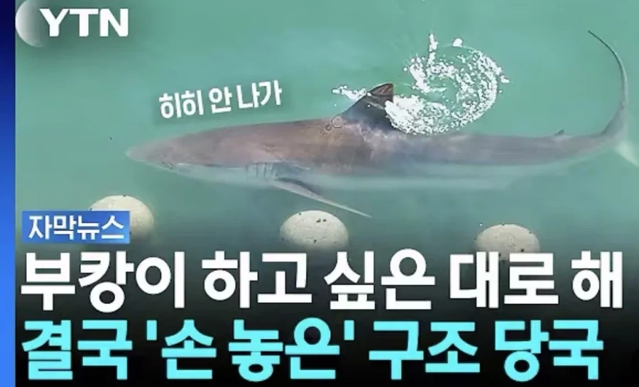 부캉이 하고 싶은 대로 해... 결국 ＇손 놓은＇ 구조 당국
