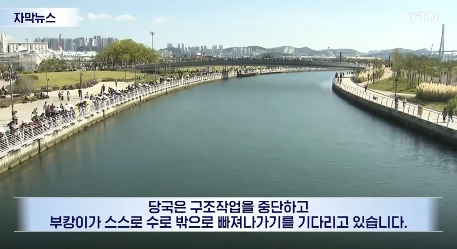 부캉이 하고 싶은 대로 해... 결국 ＇손 놓은＇ 구조 당국 - 이미지 2