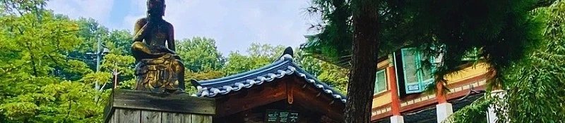 봉은사 갔다가 힐링한 사람