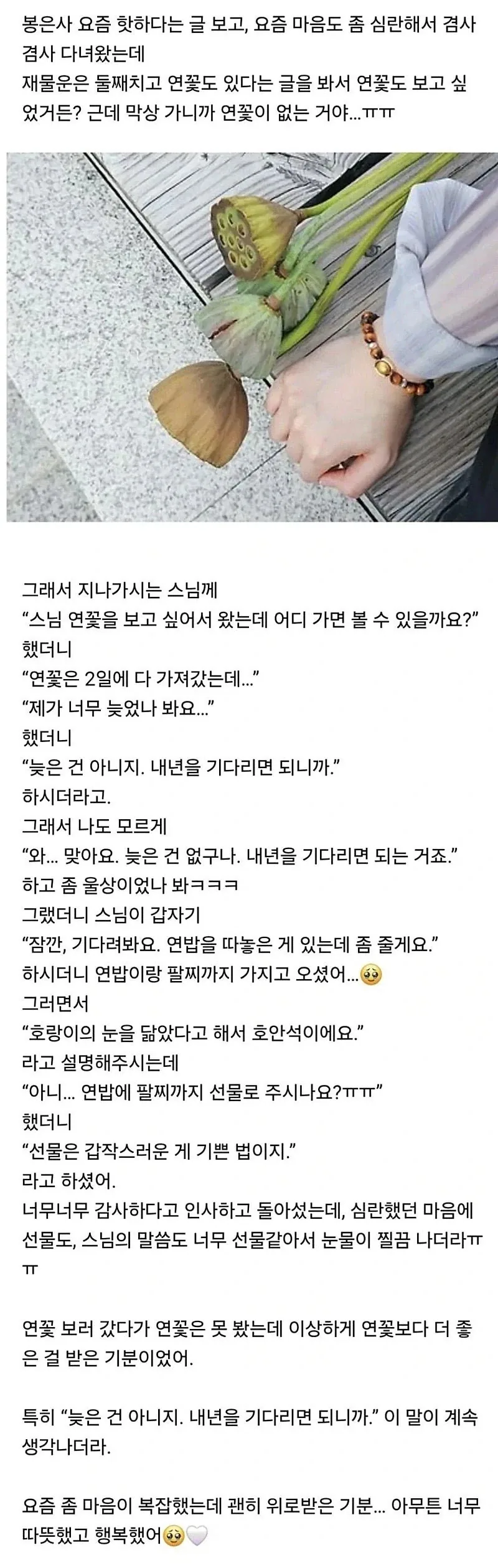 봉은사 갔다가 힐링한 사람 - 이미지 2