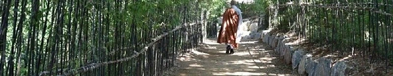 봉은사 갔다가 힐링한 사람 - 이미지 3