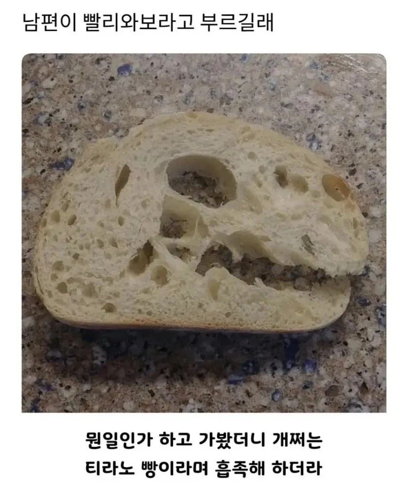 남편이 빨리 와보라고 부른 이유