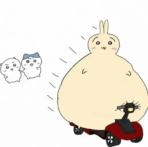 한국에선 거동이 불편한 노인들이 타는데 미국에선 파오후 전용 애마 - 이미지 4