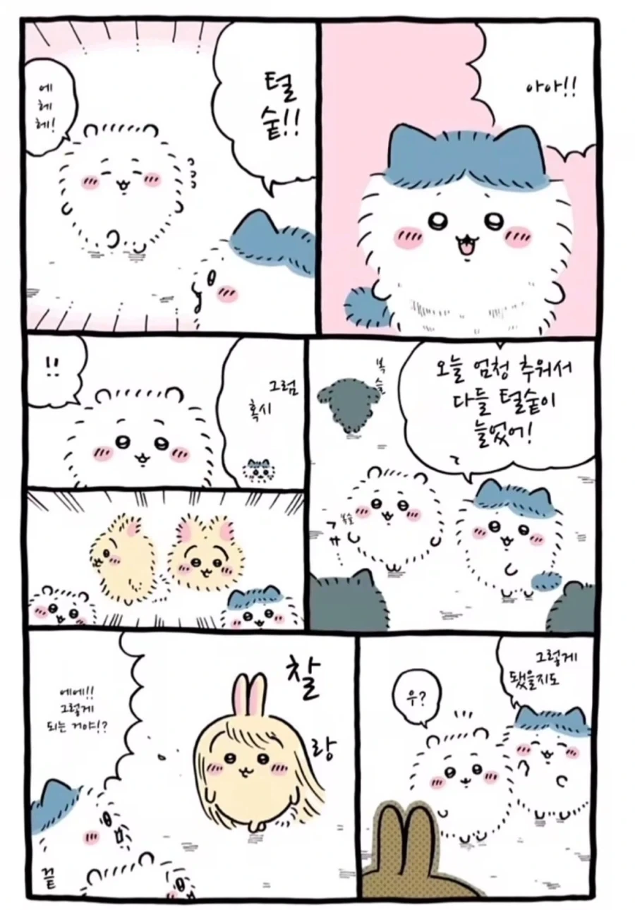 치이카와)뷰티풀 우사기...