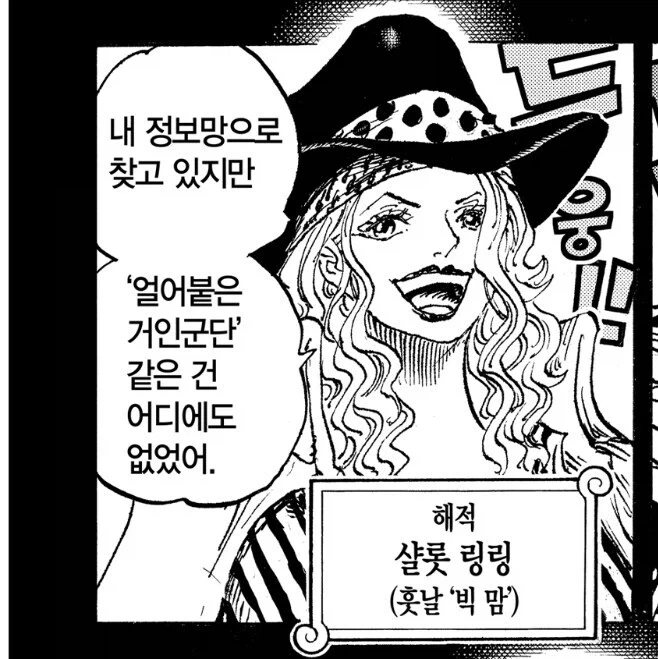 원피스 빅맘의 정보력이 업계 최고라고 불리우는 이유 - 이미지 7