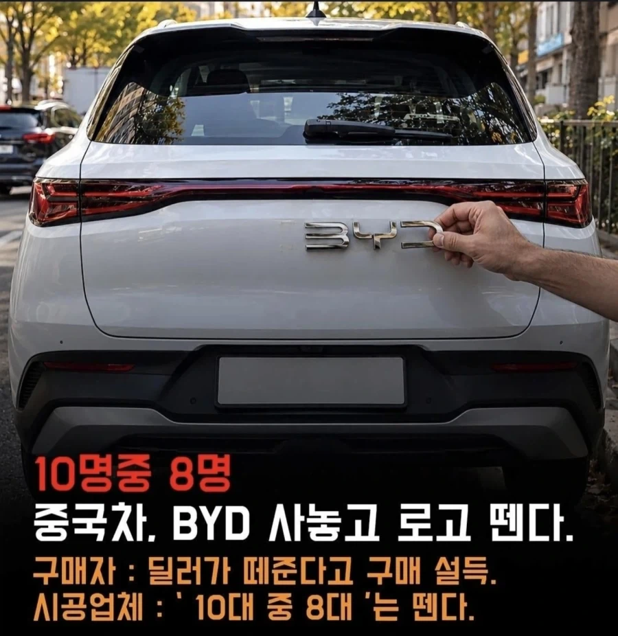 BYD 오너 10명중 8명이 하는 것...jpg
