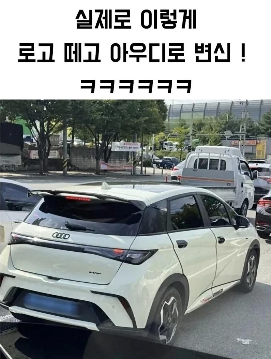 BYD 오너 10명중 8명이 하는 것...jpg - 이미지 2