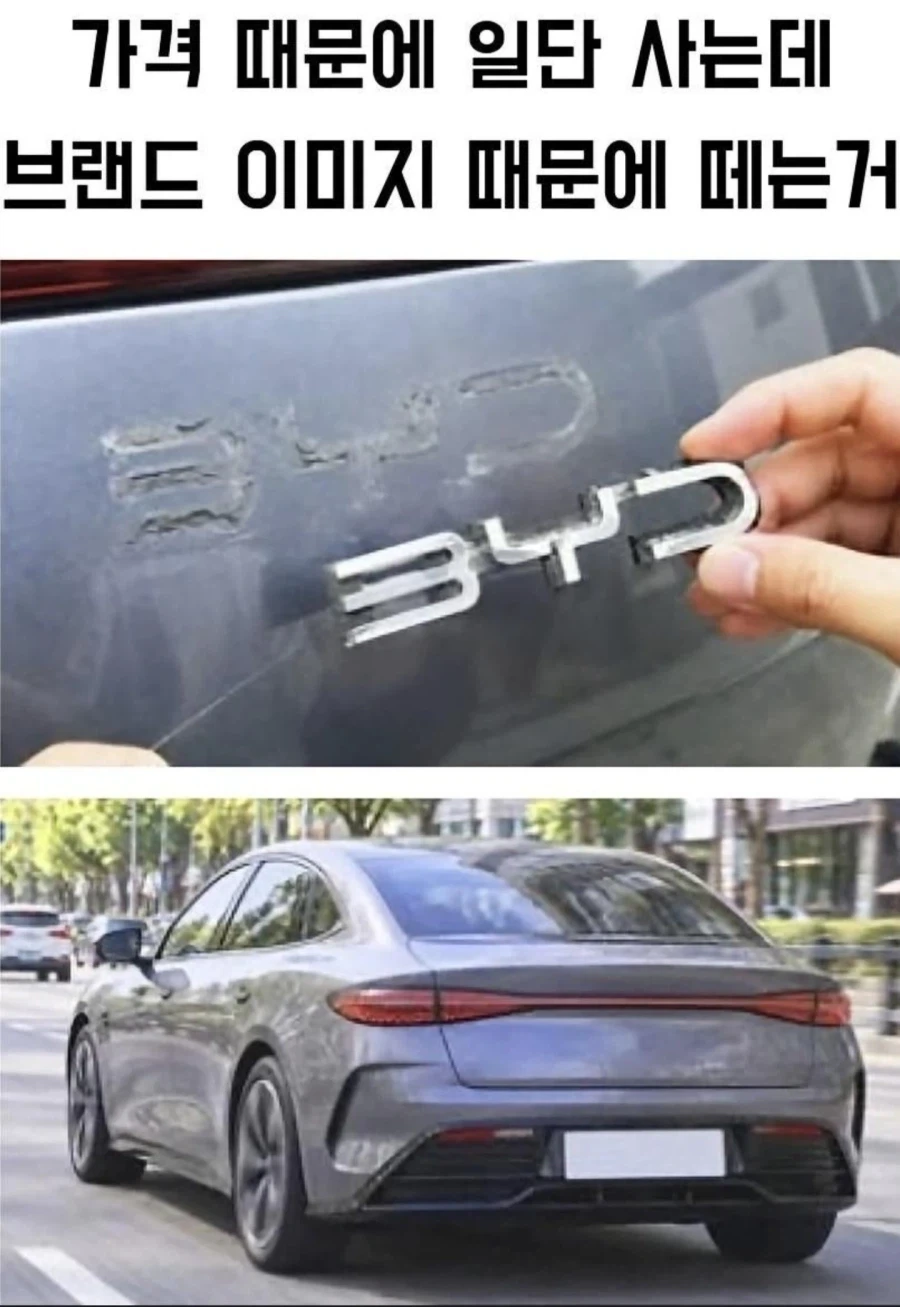 BYD 오너 10명중 8명이 하는 것...jpg - 이미지 3