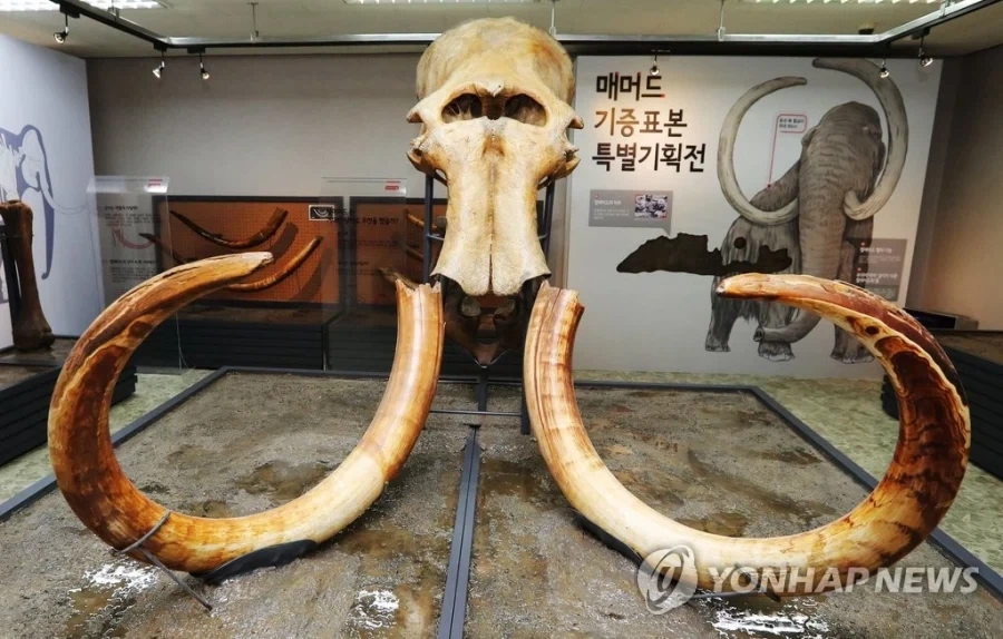 그리스로마 신화에 싸이클롭스가 나온 이유