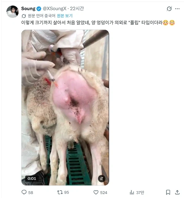 이렇게 클 때까지 처음 알았네