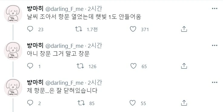 날씨가 좋아서 그만 열어버렸습니다.jpg