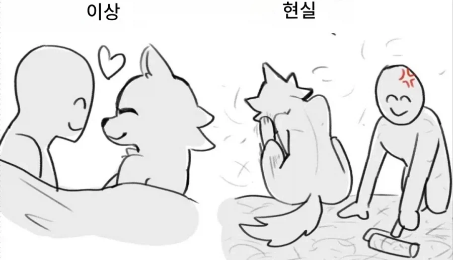 퍼리 이상과 현실