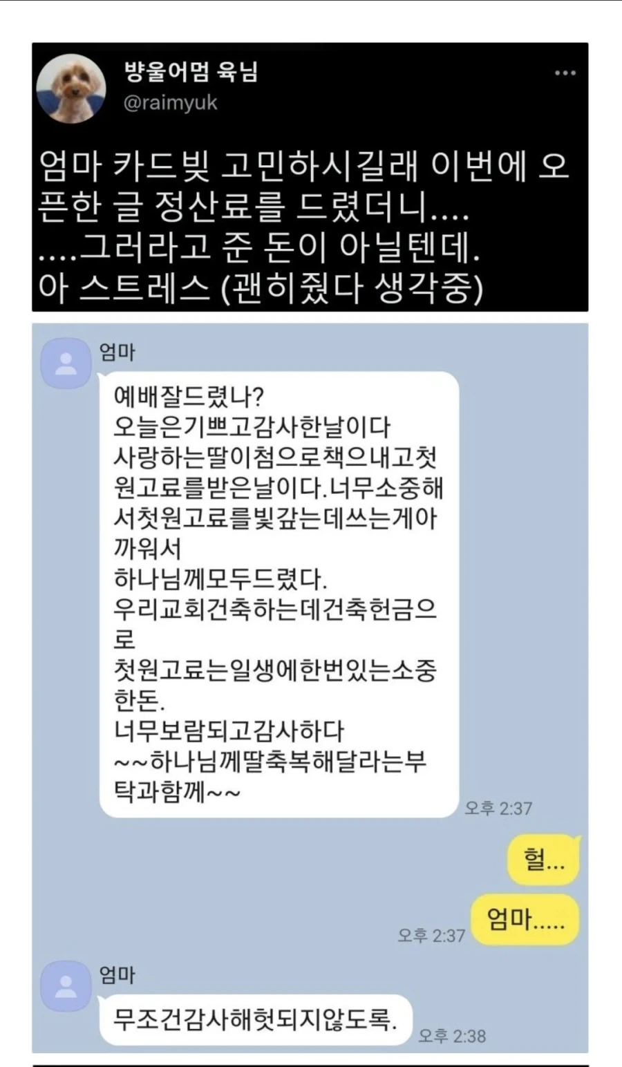 첫 원고료를 엄마에게 드린 효녀 - 이미지 2