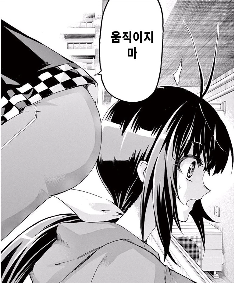 원작자들이 아무 말 안하던 패러디 많던 만화 - 이미지 29
