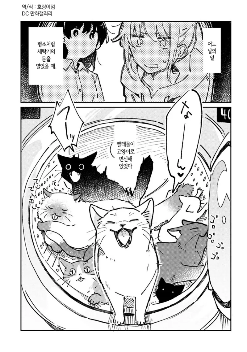 빨래가 고양이로 변하는 만화