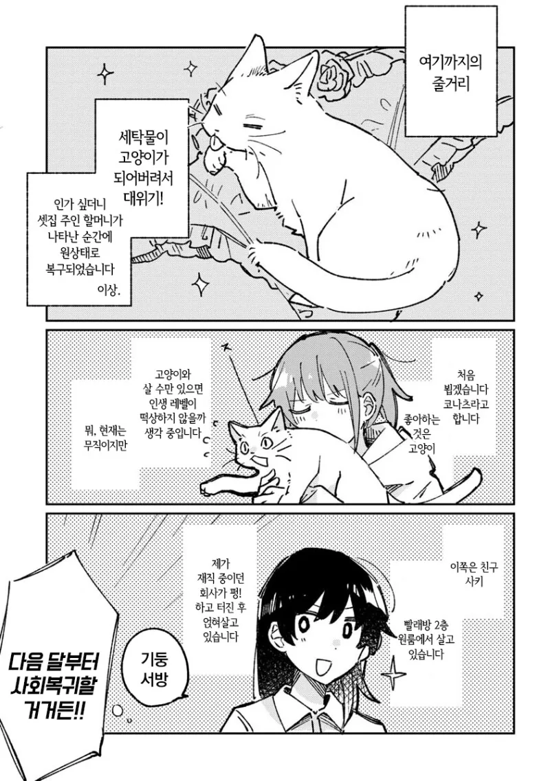 빨래가 고양이로 변하는 만화 - 이미지 7