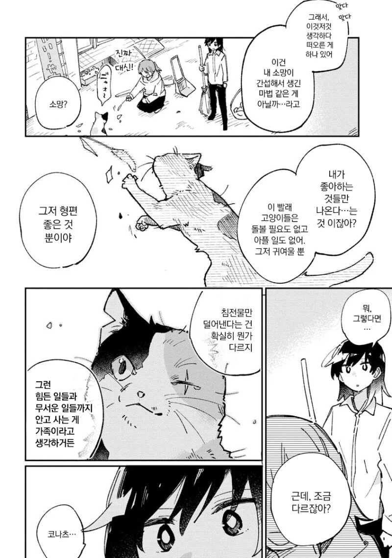빨래가 고양이로 변하는 만화 - 이미지 14