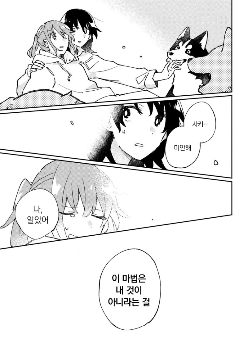 빨래가 고양이로 변하는 만화 - 이미지 19