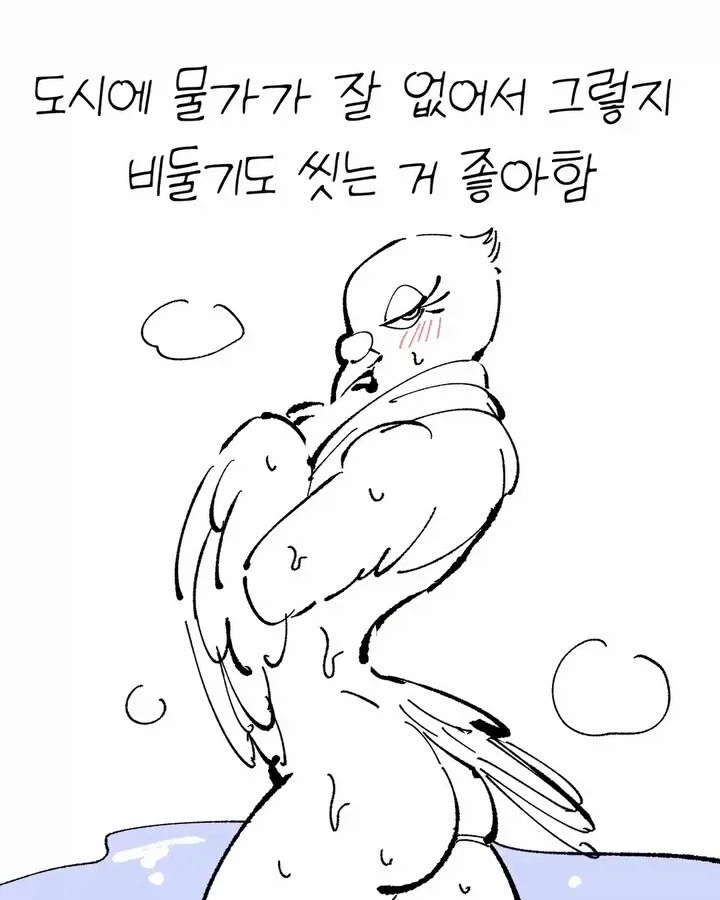 비둘기가 너무 귀여운 manhwa - 이미지 10