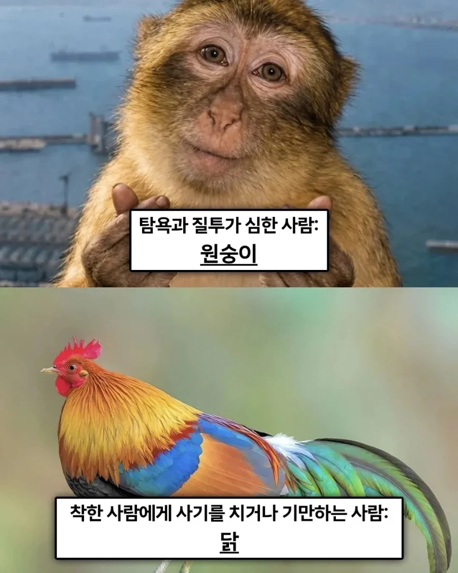 불교 경전에 적혀있는 ＇죄 지었을때 다음생에 태어나게 될 동물＇ - 이미지 3