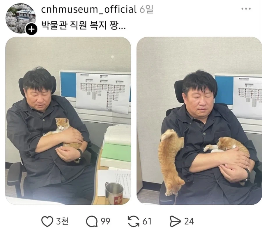 충남역사박물관 복지수준