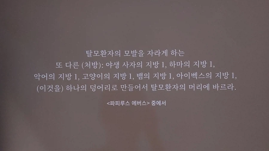 고대 이집트인들이 파피루스에 적은 내용 - 이미지 3