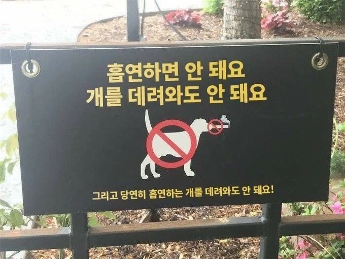 공원 내 길빵금지 개도 금지