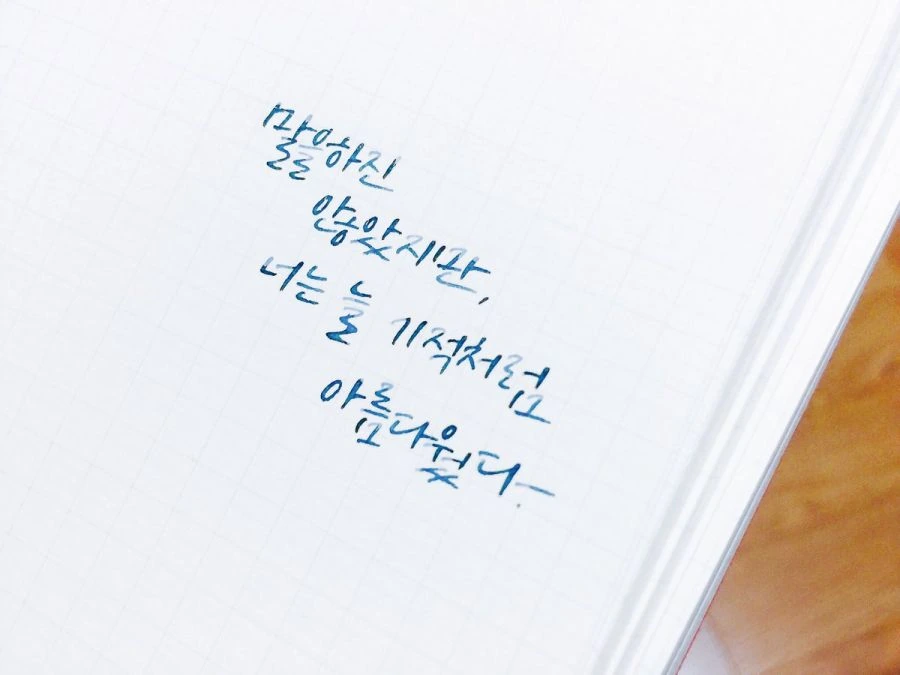 국내에서 이상할 정도로 인기가 많던 소설 문구