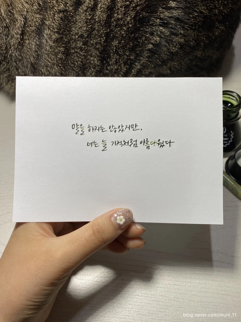 국내에서 이상할 정도로 인기가 많던 소설 문구 - 이미지 3