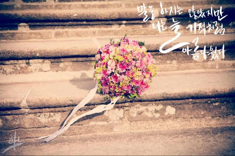 국내에서 이상할 정도로 인기가 많던 소설 문구 - 이미지 5